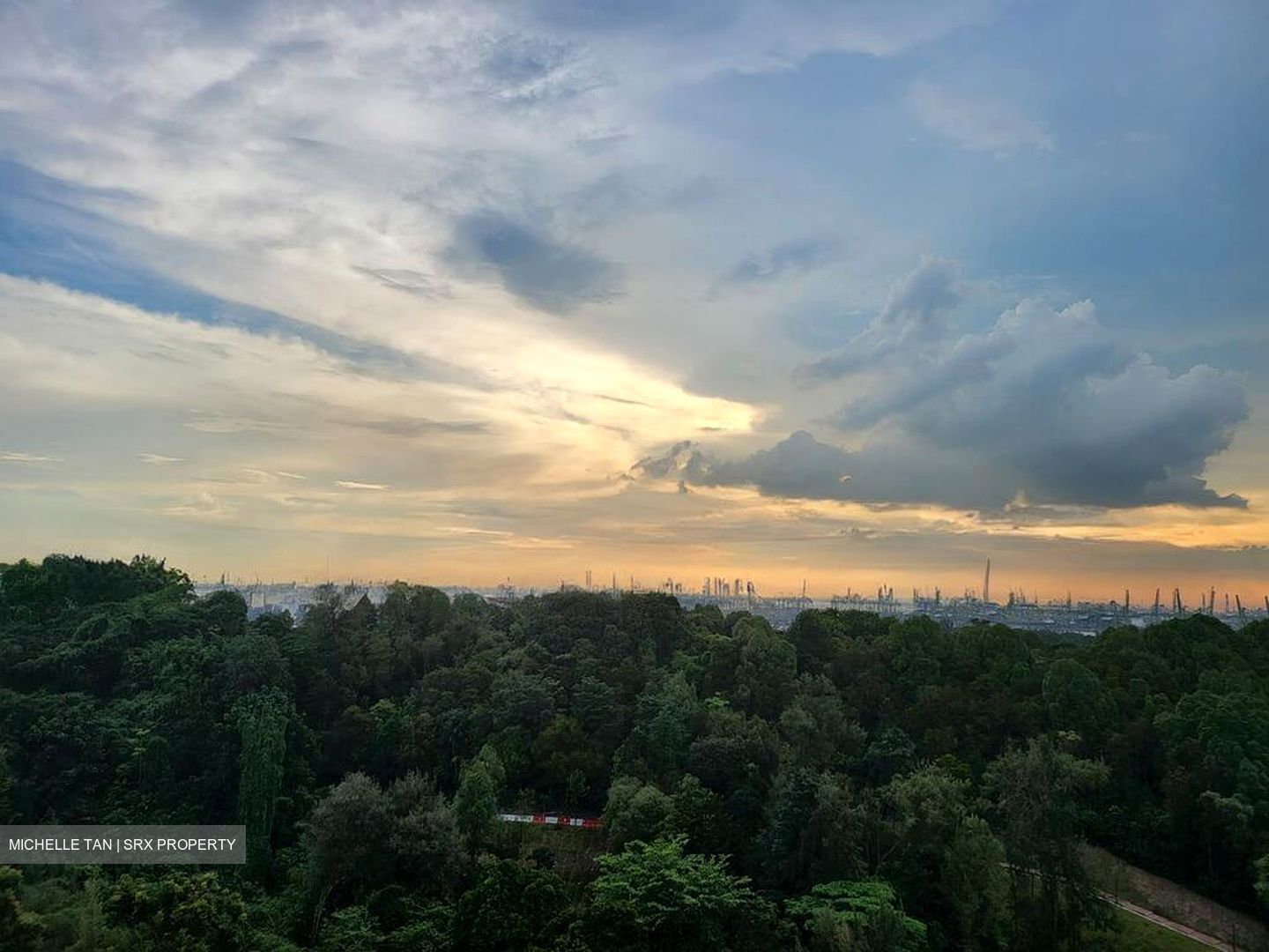 Normanton Park (D5), Apartment #497824351